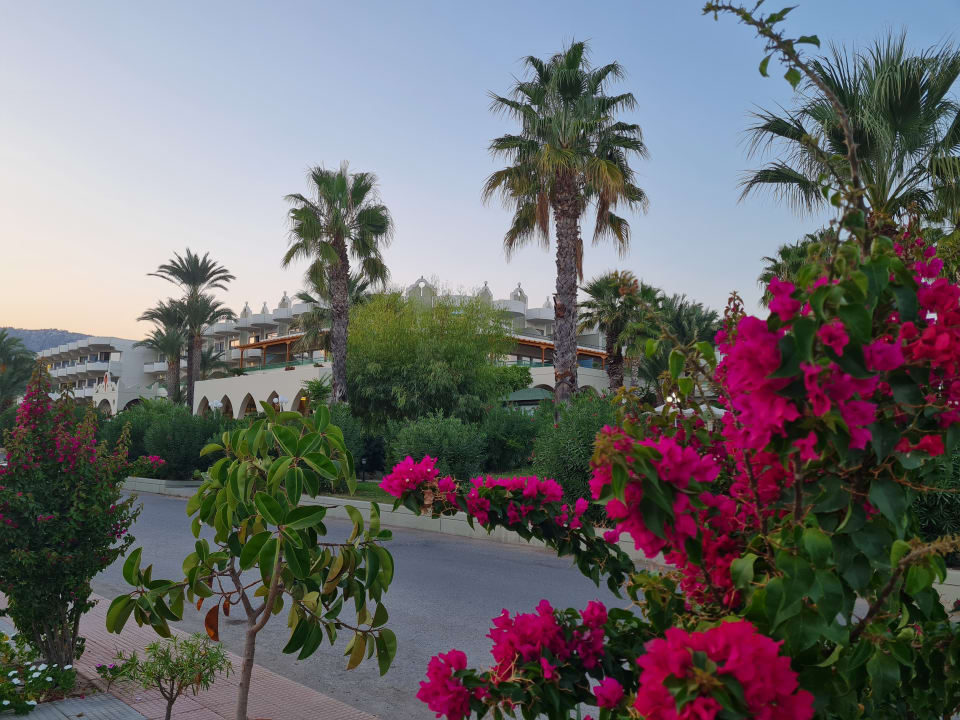 Gartenanlage Atrium Palace Thalasso Spa Resort & Villas