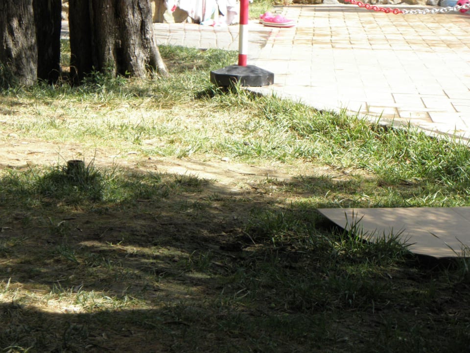 Liegewiese Hotel Villa Paradiso