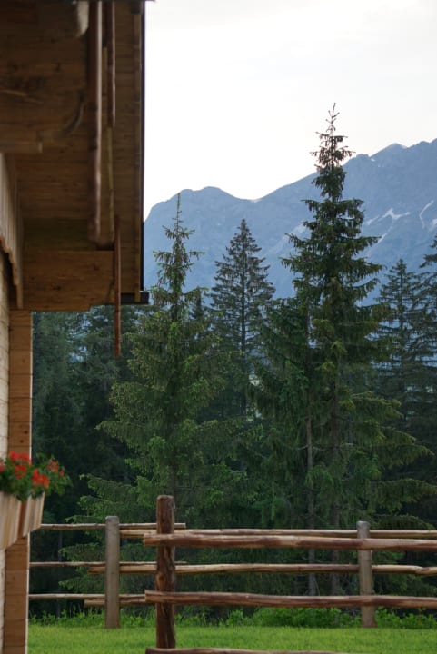 Ausblick Chalets Almidylle