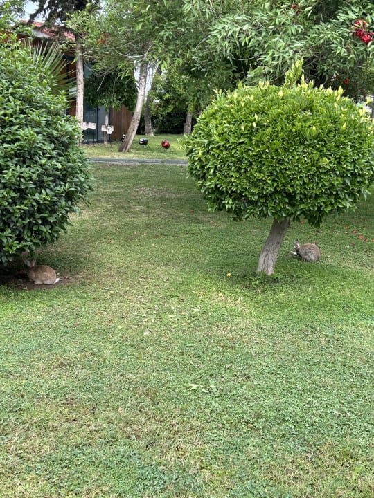 Gartenanlage Labranda Alantur Resort