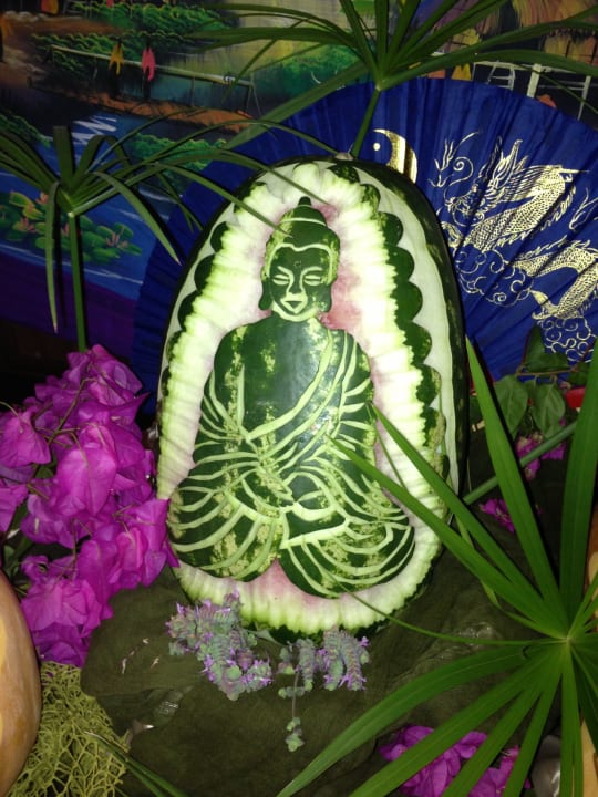 Asia Abend Cactus Royal