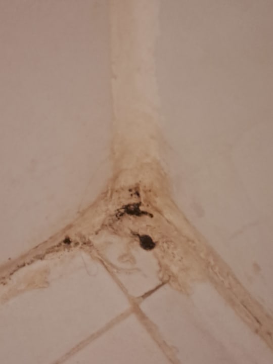 Zimmer Occidental Boa Vista Beach