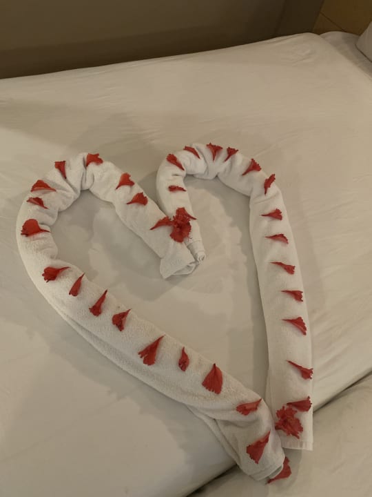 Zimmer Regina Resort and Aqua Park Hurghada