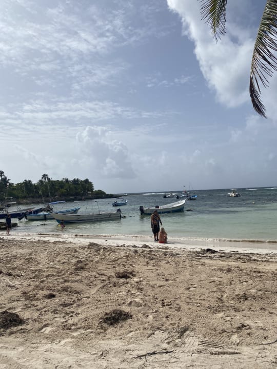 Strand Akumal Bay Beach & Wellness Resort