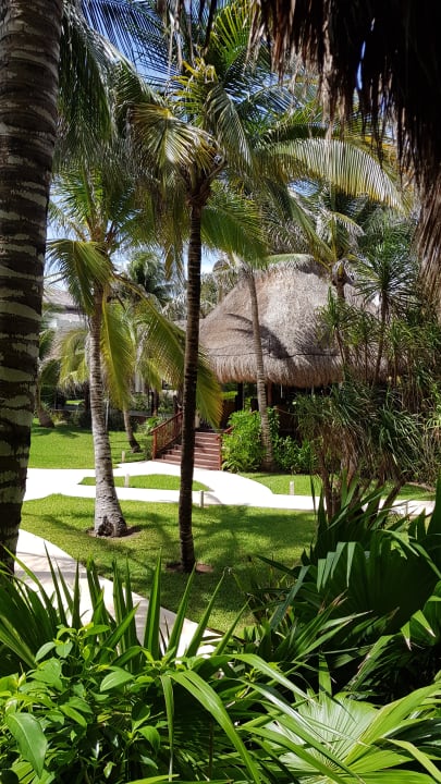 Gartenanlage Akumal Bay Beach & Wellness Resort