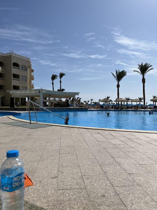 Pool Beach Albatros Resort