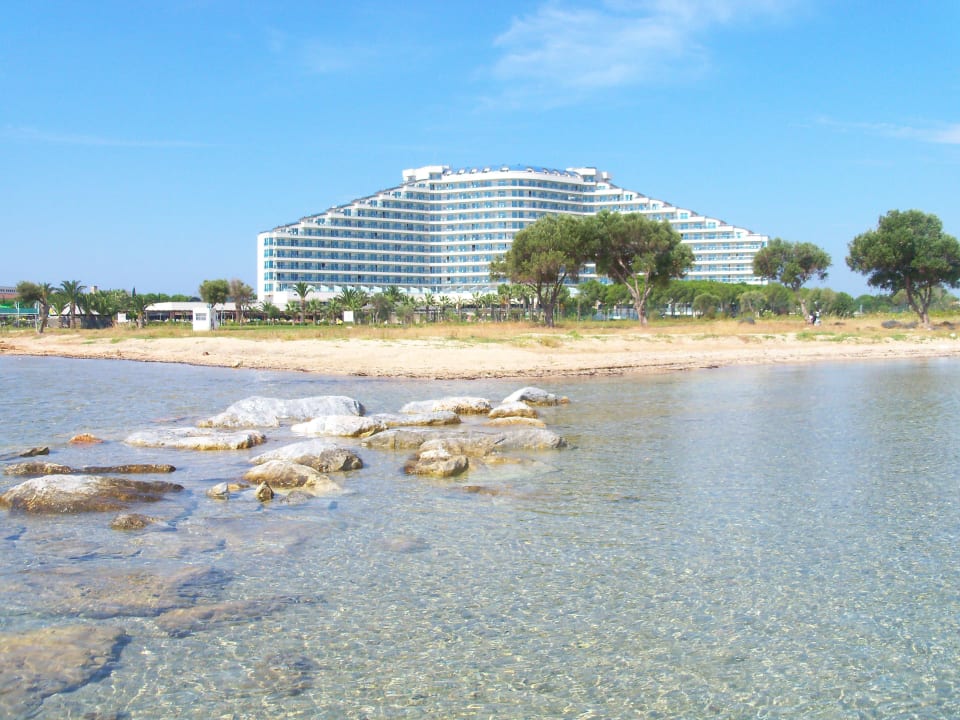 Hotel Venosa Beach Resort & Spa