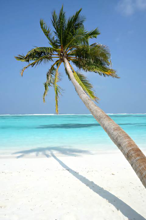 Ausblick Meeru Maldives Resort Island