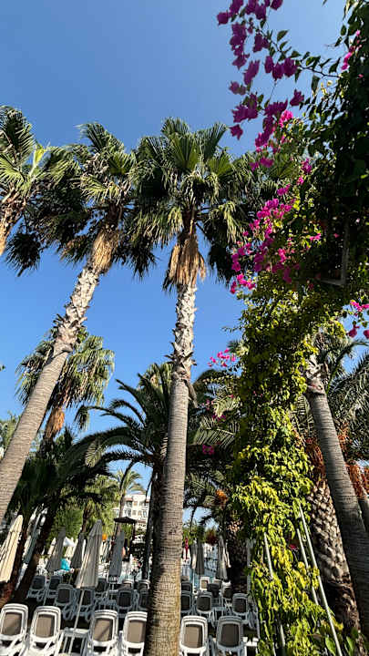 Gartenanlage Belek Beach Resort Hotel