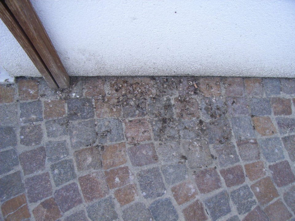 Warum putzen? Residence Montani