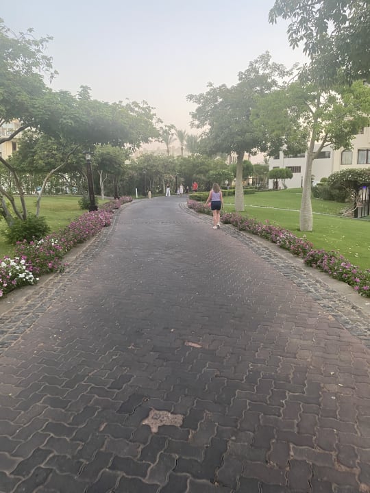 Gartenanlage Steigenberger Aqua Magic