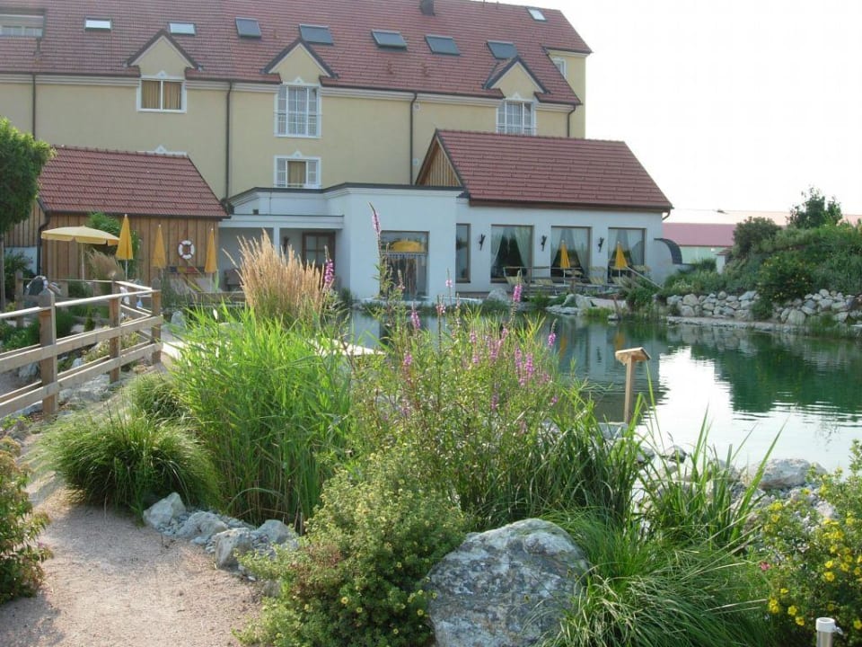 Blick von Schwimmteich auf Hotel Thermenhotel Vier Jahreszeiten