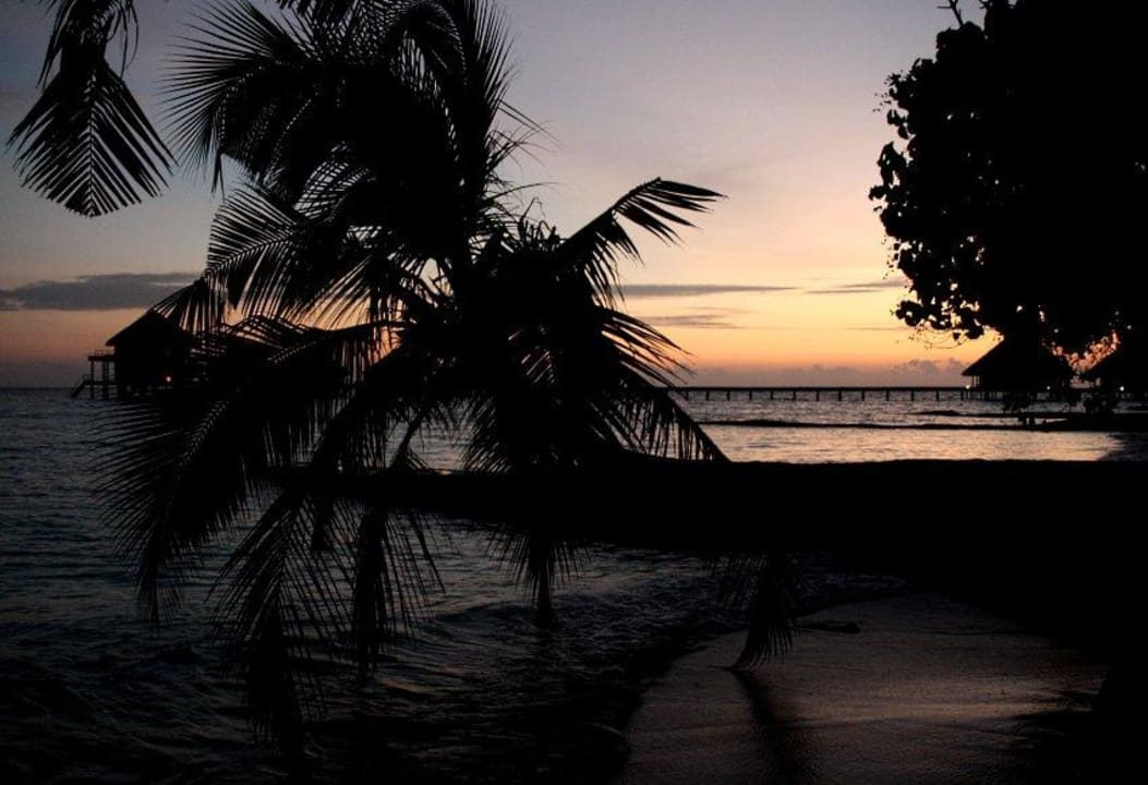 Sonnenuntergang Adaaran Club Rannalhi - All Inclusive