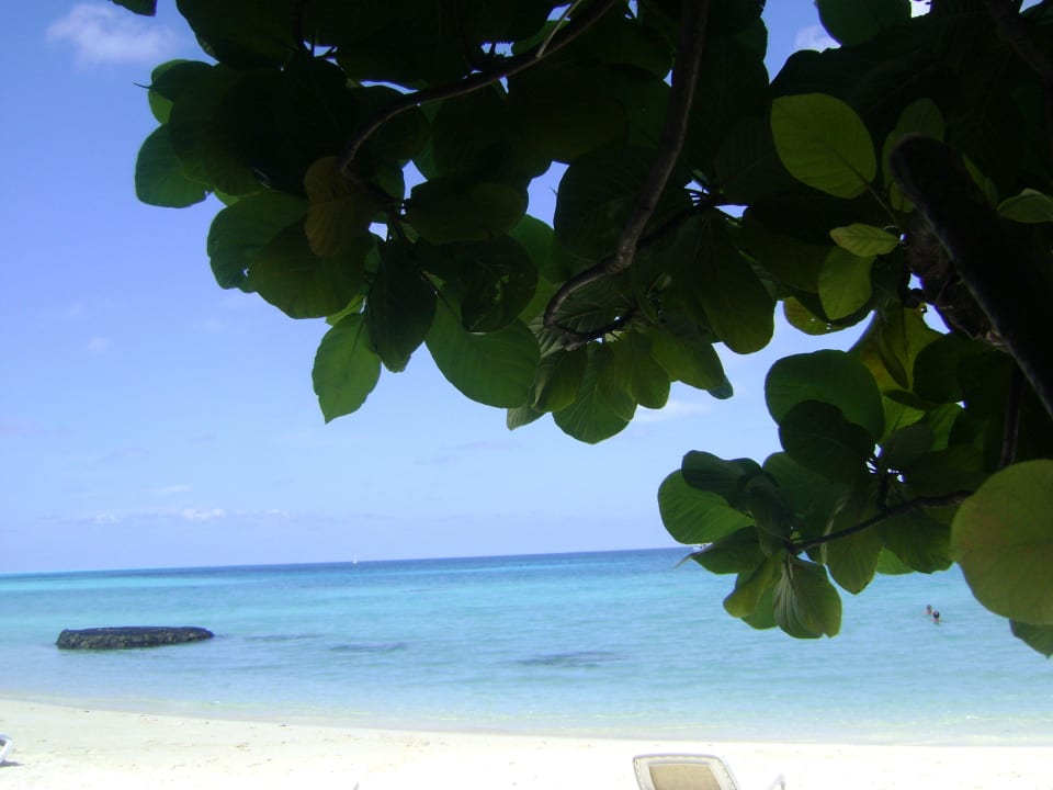 Aussicht Kuramathi Maldives