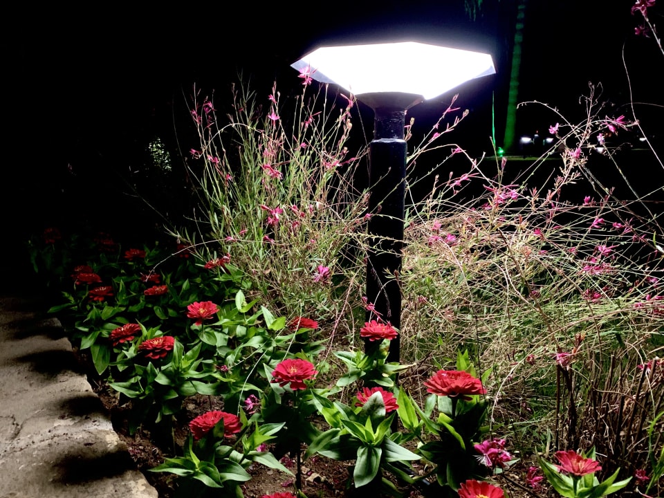 Gartenanlage Megasaray Club Belek