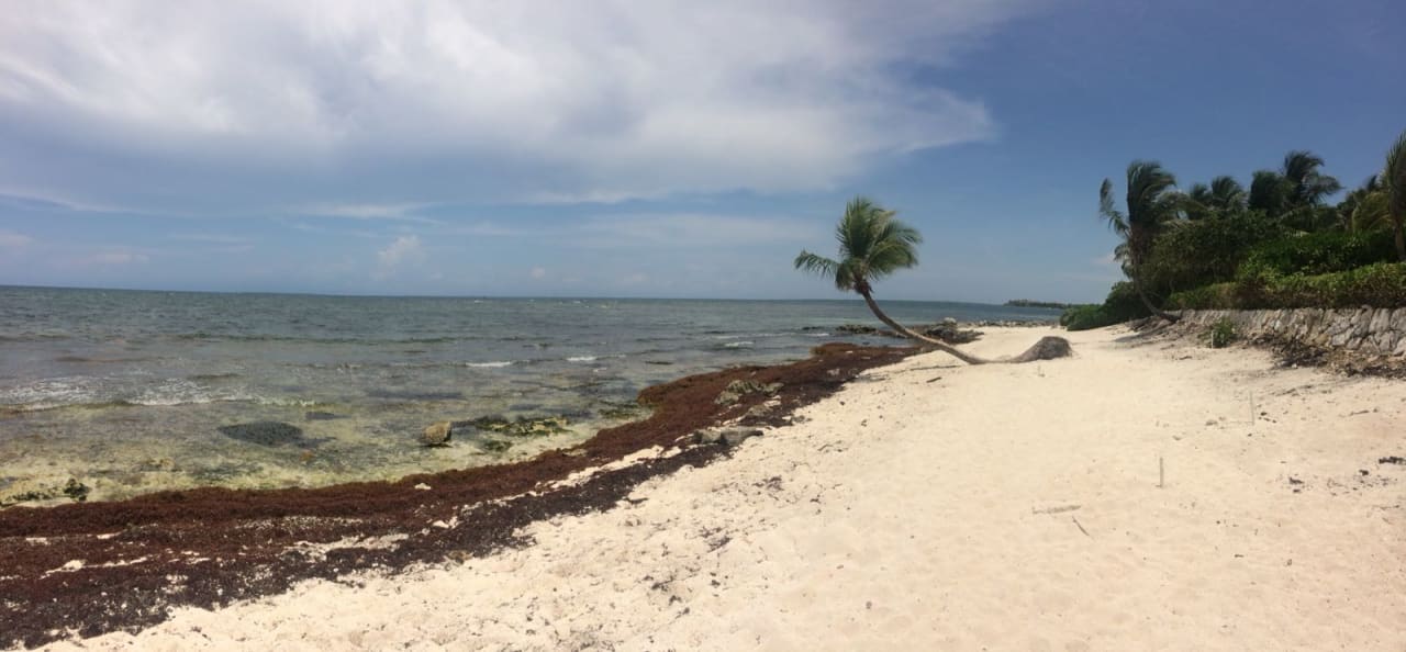 Strand Akumal Bay Beach & Wellness Resort