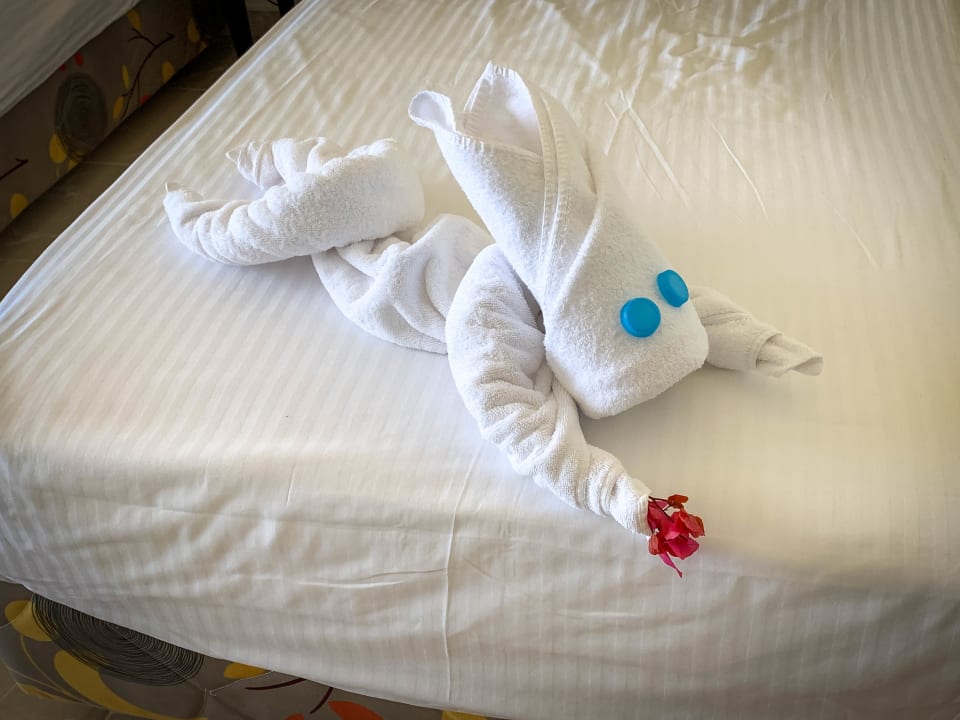 Zimmer Malikia Resort Abu Dabbab