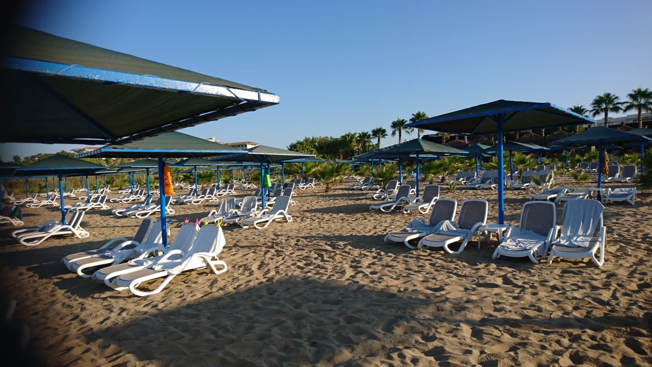 Strand Paloma Oceana