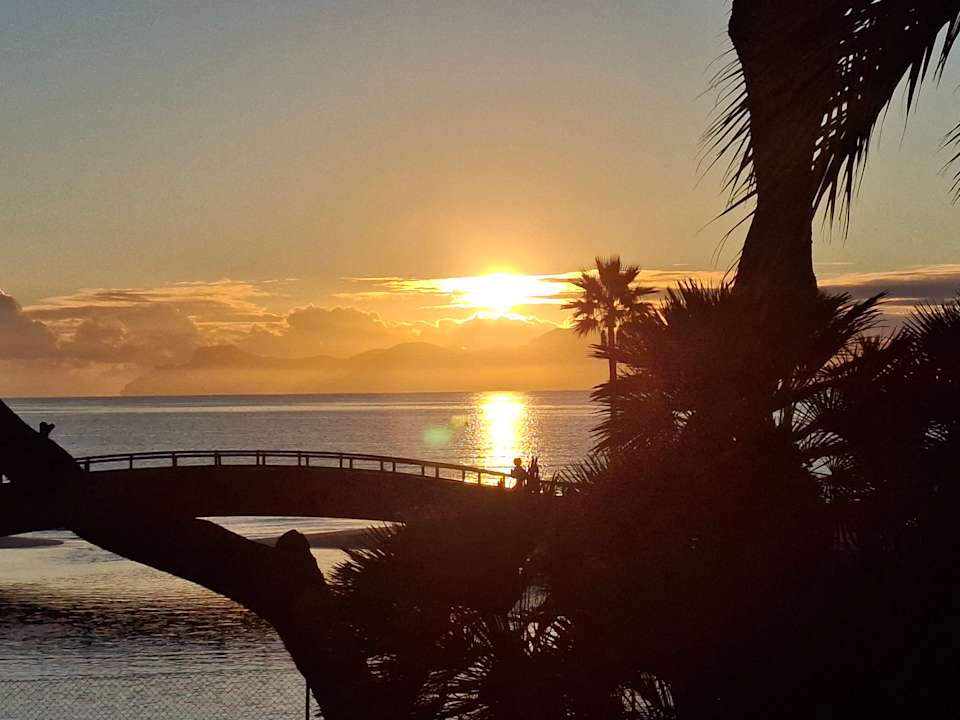 Ausblick allsun App.-Hotel Orquidea Playa