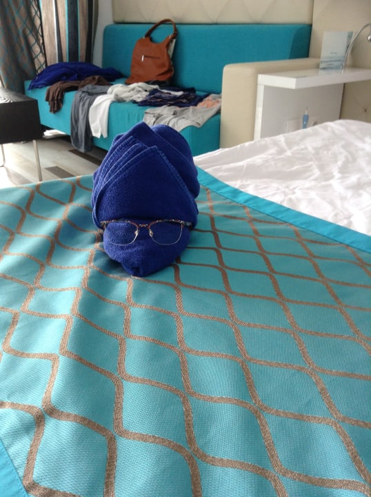 Zimmer Sentido Marea