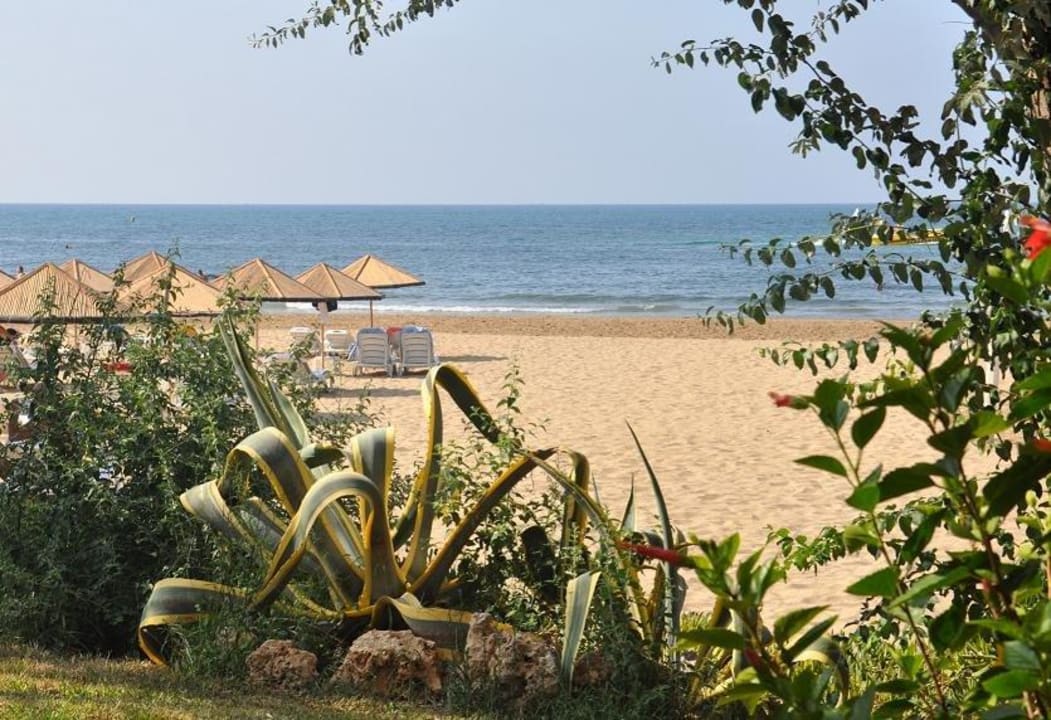 Blick zum Strand von der Bar aus Hotel Defne Garden