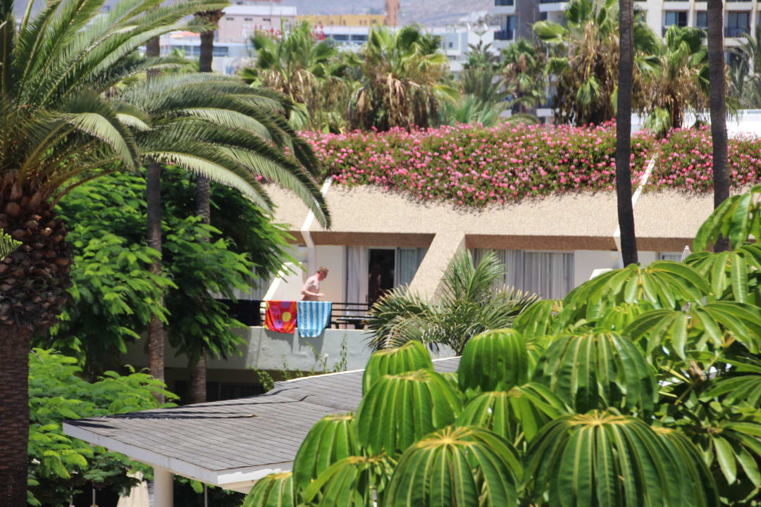 Hôtel H10 Las Palmeras - La Bungalo 2015 H10 Las Palmeras