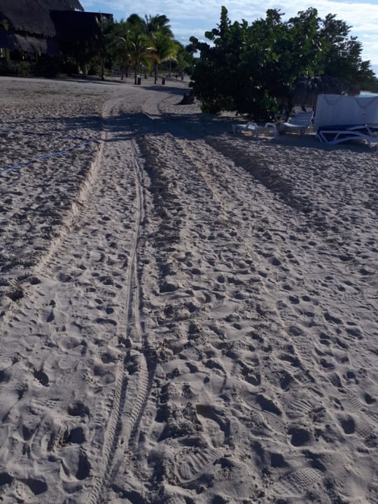 Strand Hotel Playa Pesquero