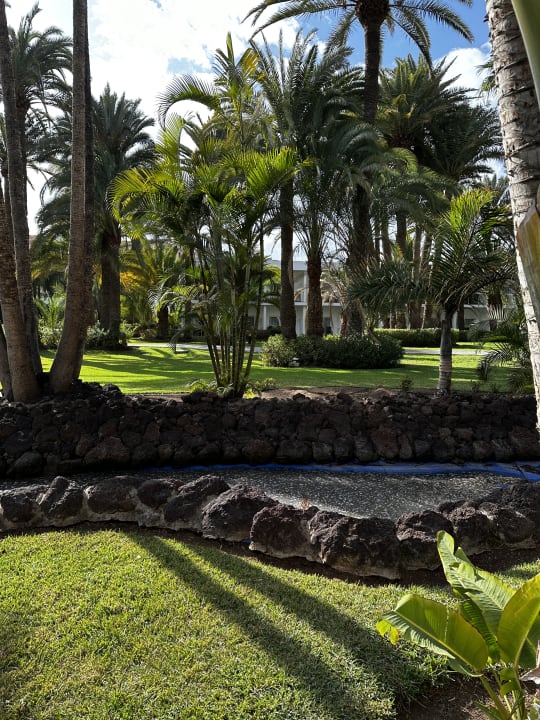 Gartenanlage Hotel Riu Palace Oasis