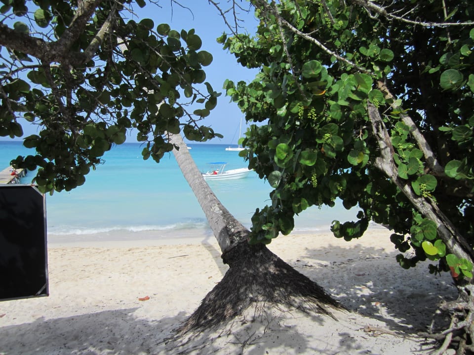 Einfach zum Träumen Grand Palladium Select Bávaro Resort & Spa