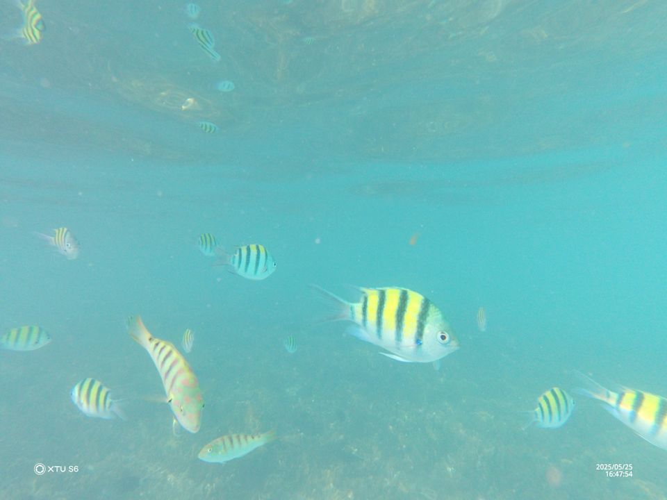 Strand Joy Island
