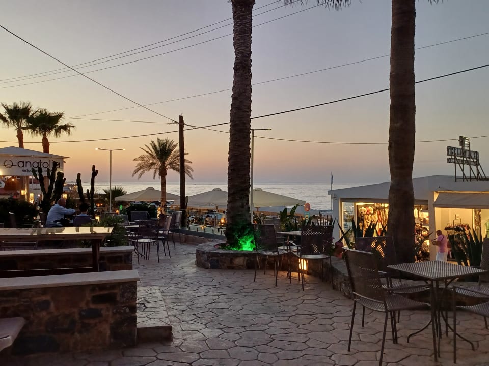 Gastro Cactus Beach