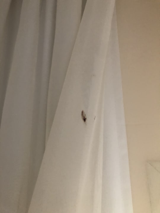 Zimmer Stella Beach Resort & Spa Makadi Bay