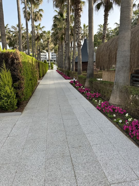 Gartenanlage Hotel Miramare Beach