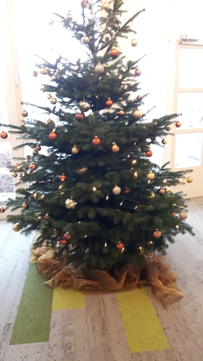 Sonstiges Vivea Hotel Bad Schönau - Zur Quelle