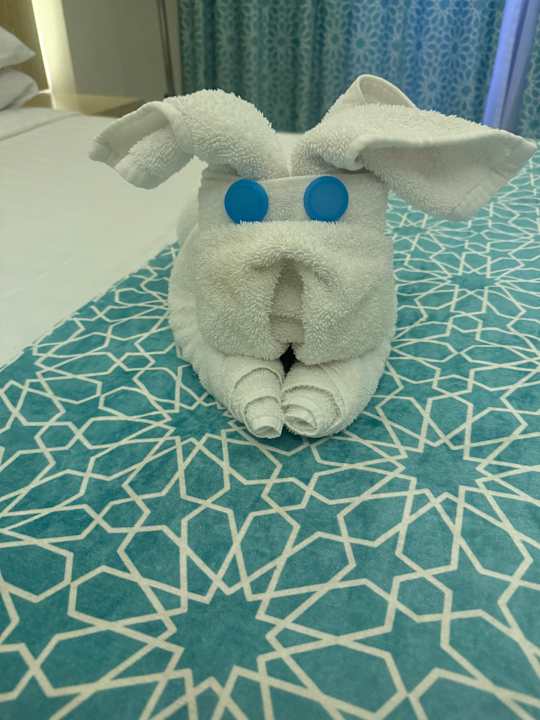 Zimmer Gravity Hotel & Aquapark Sahl Hasheesh