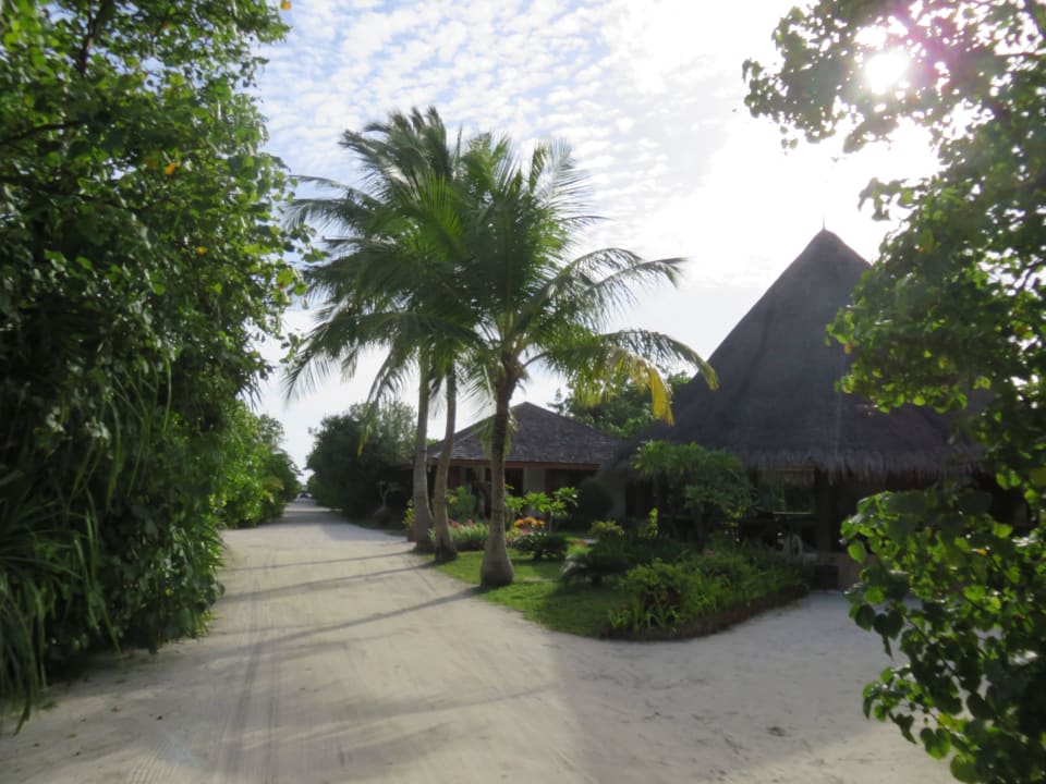 Sangurezeption 1 von 3 Kuredu Island Resort & Spa