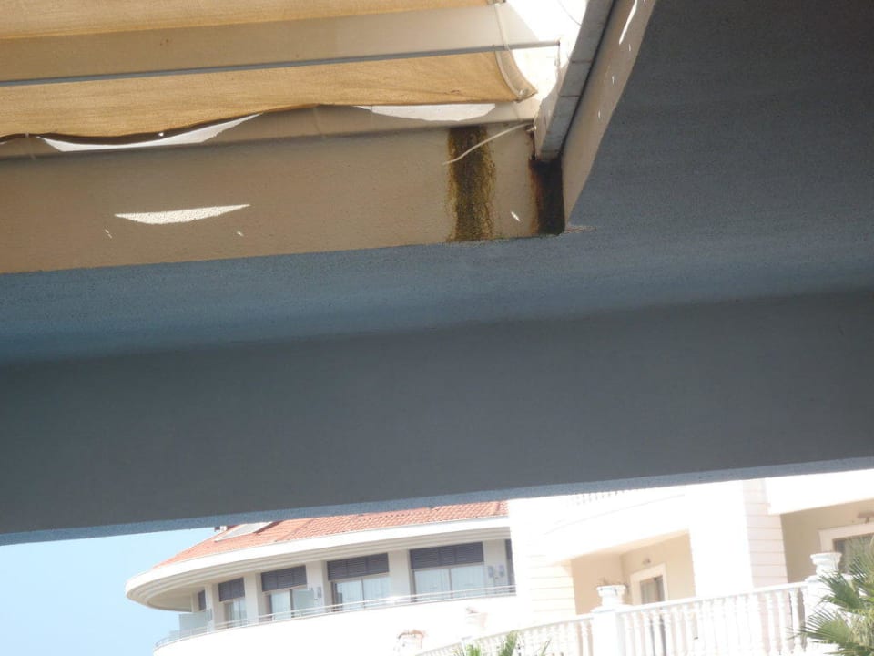 Pleseň nad detským bazénom Alba Queen Hotel