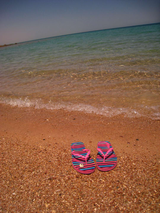 Urlaubsfeeling Palm Beach Resort