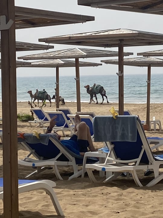 Strand Süral Saray Hotel
