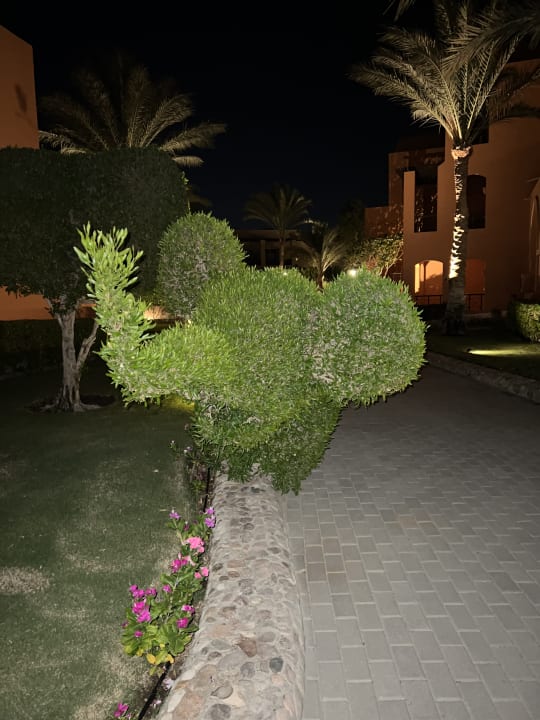 Gartenanlage Jaz Makadi Blue - TUI BLUE Makadi - Adults Friendly 16 Years Plus