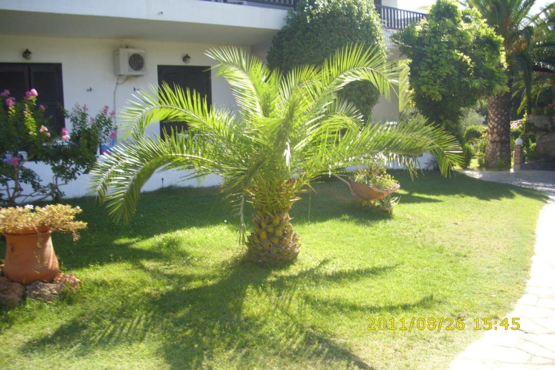 Blick auf die Außenanlage Philoxenia Hotel