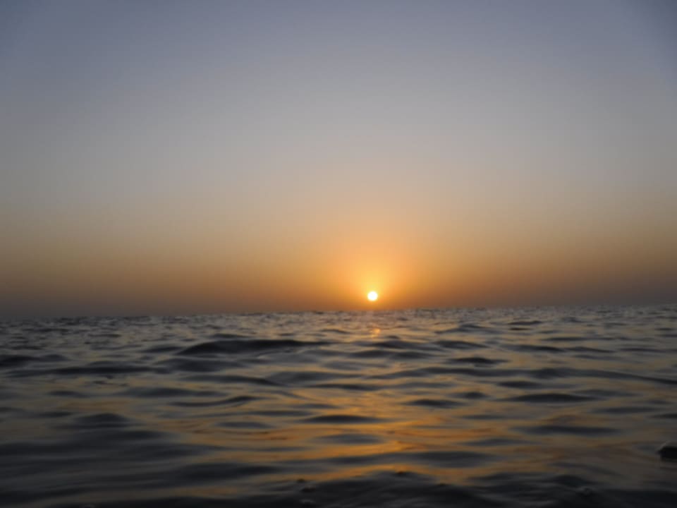 Strand Malikia Resort Abu Dabbab