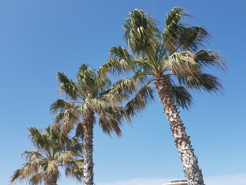 Gartenanlage Voyage Belek Golf & Spa