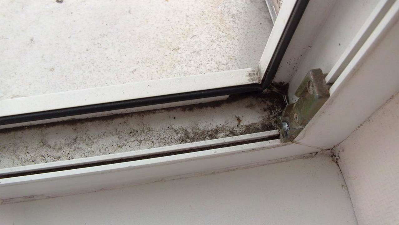 Fensterleisten strotzen vor Dreck PLAZA INN Hamburg Moorfleet