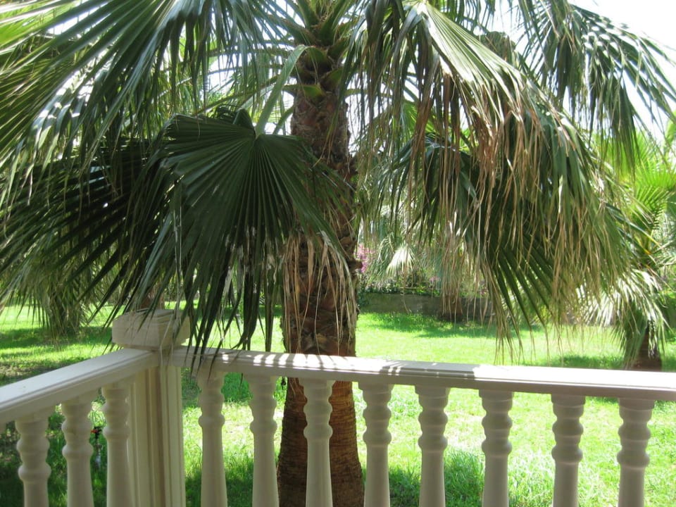 Blick vom Balkon aus 501 Hotel Defne Dream