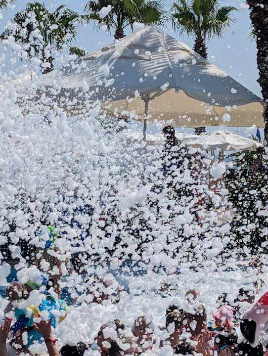 Pool Hotel Botanik Platinum