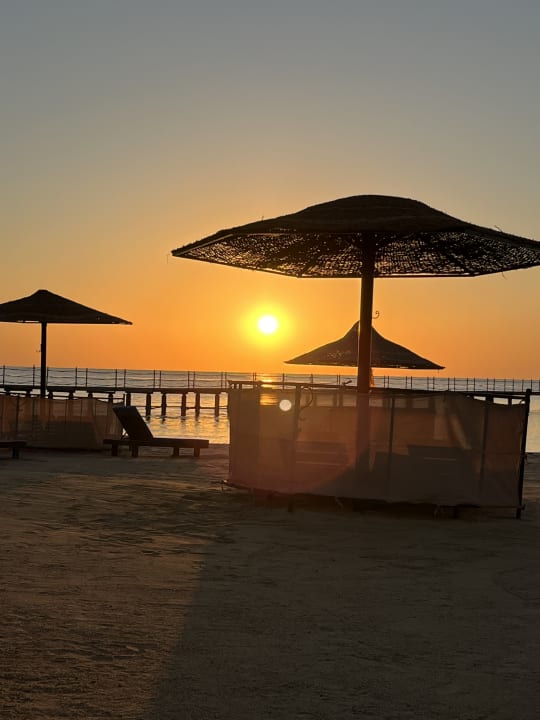 Strand Pickalbatros Palace Hotel-Port Ghalib