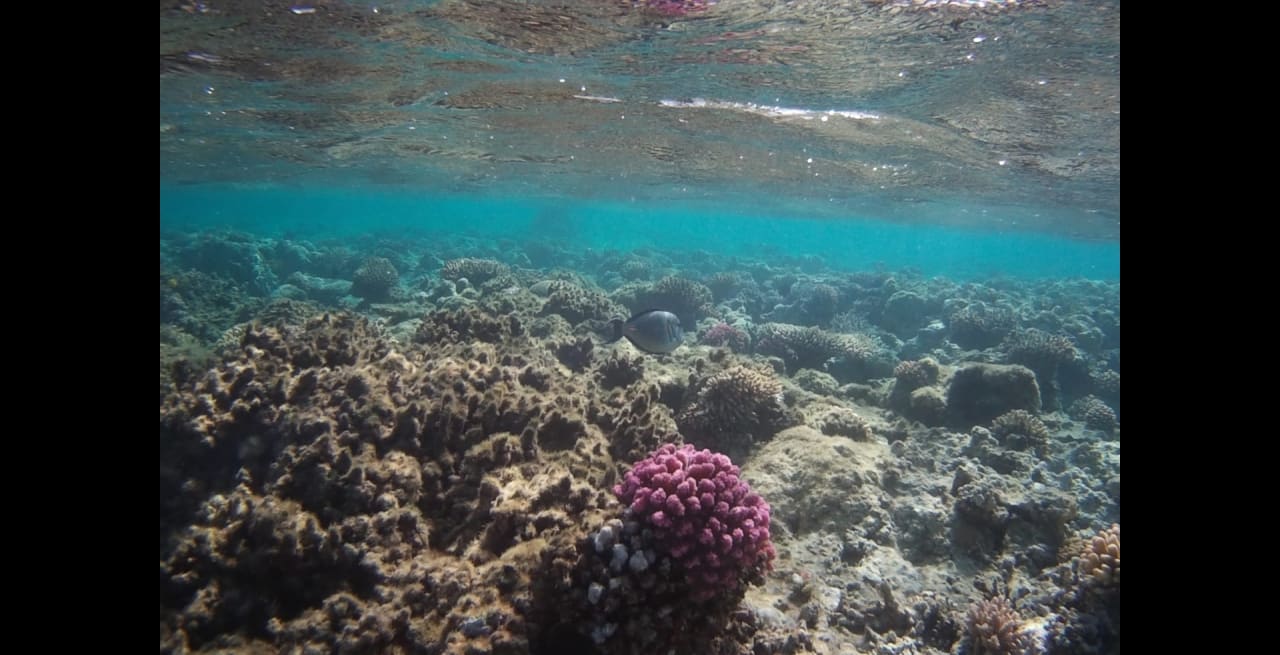 Sport & Freizeit Premier Le Reve Hotel & Spa