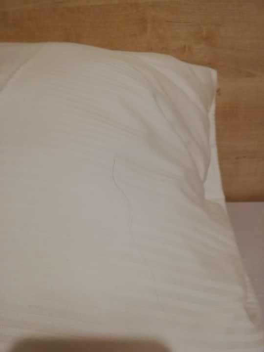 Zimmer Center Parcs Park Allgäu