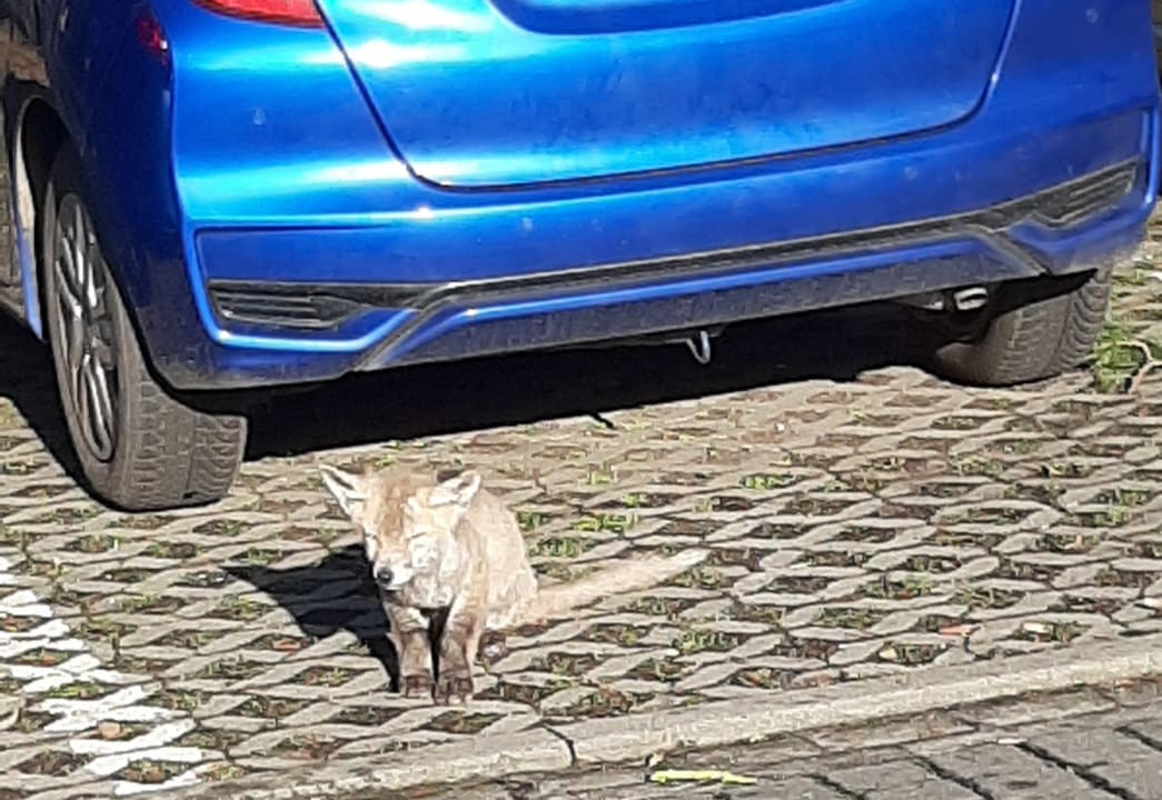 Sonstiges Rezydencja Cesarskie Ogrody